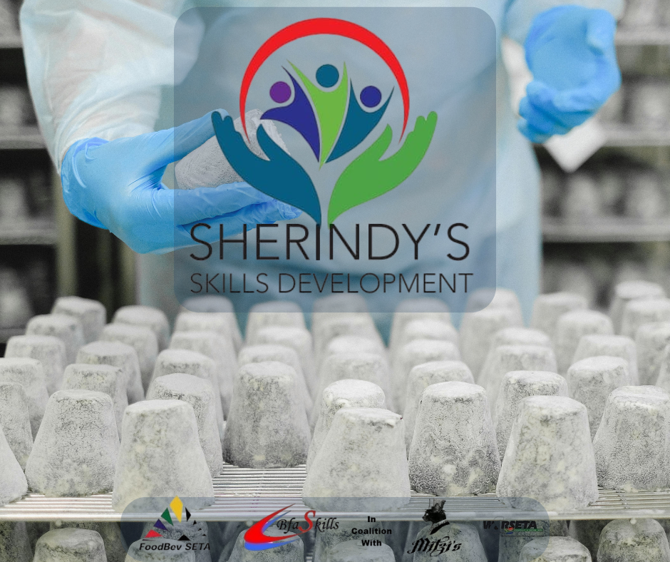 Sherindy's Skills Development